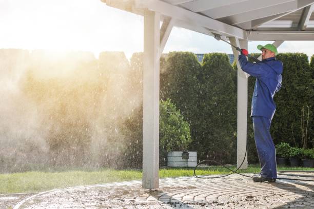 Best Sidewalk and Walkway Pressure Cleaning in Lake Holiday, IL